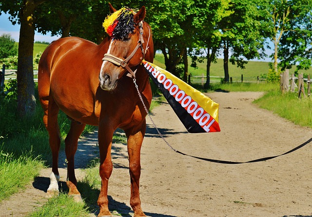 身价暴跌1500万❗努涅斯身价跌至5000万 上周欧.